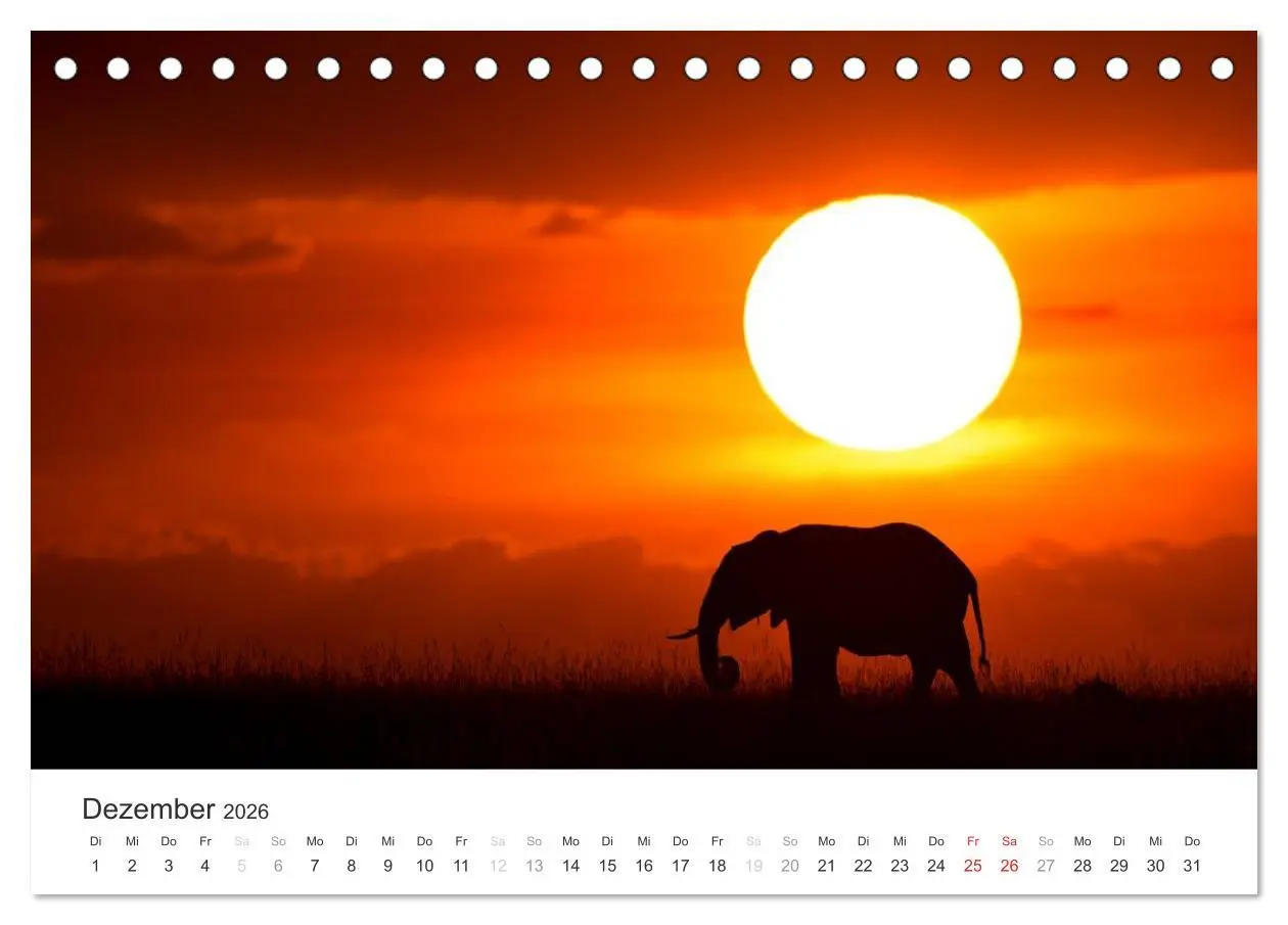 Bild: 9783457980408 | Elefanten - Sanfte Riesen in Afrika (Tischkalender 2026 DIN A5...