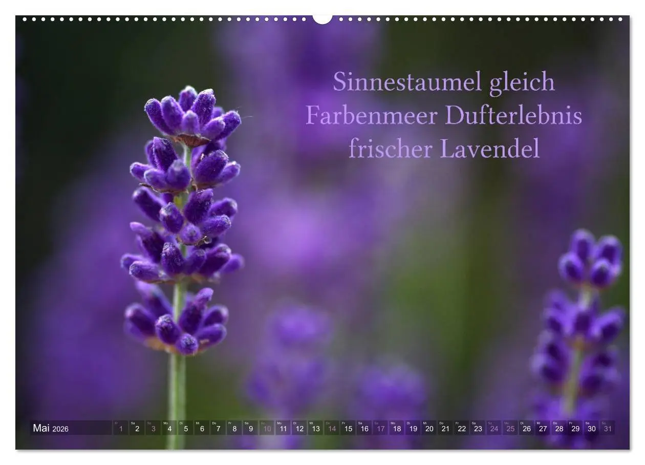 Bild: 9783516140408 | Haiku - Gedichte in 17 Silben (hochwertiger Premium Wandkalender...