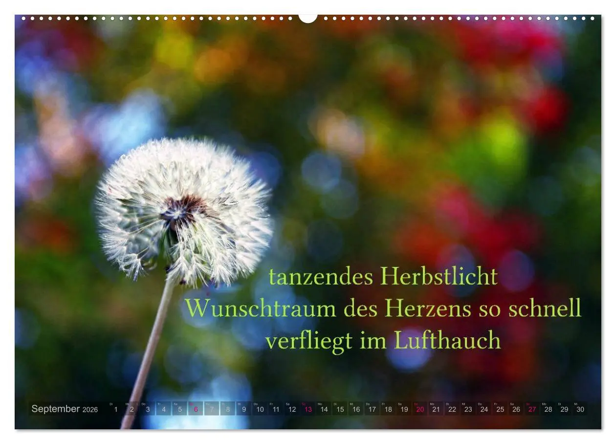 Bild: 9783516140408 | Haiku - Gedichte in 17 Silben (hochwertiger Premium Wandkalender...
