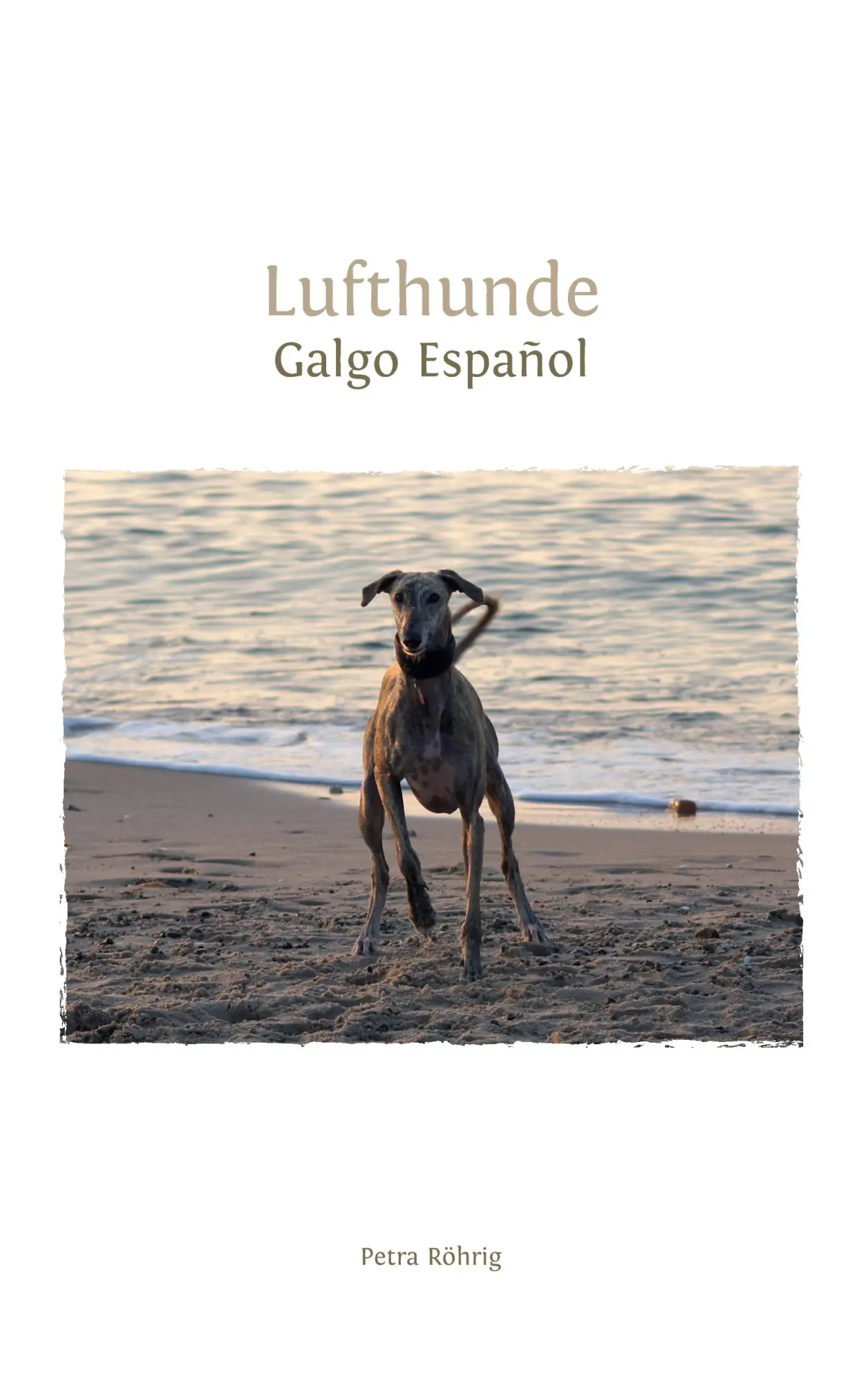 Cover: 9783739200408 | Lufthunde | Galgo Español | Petra Röhrig | Taschenbuch | 132 S. | 2015
