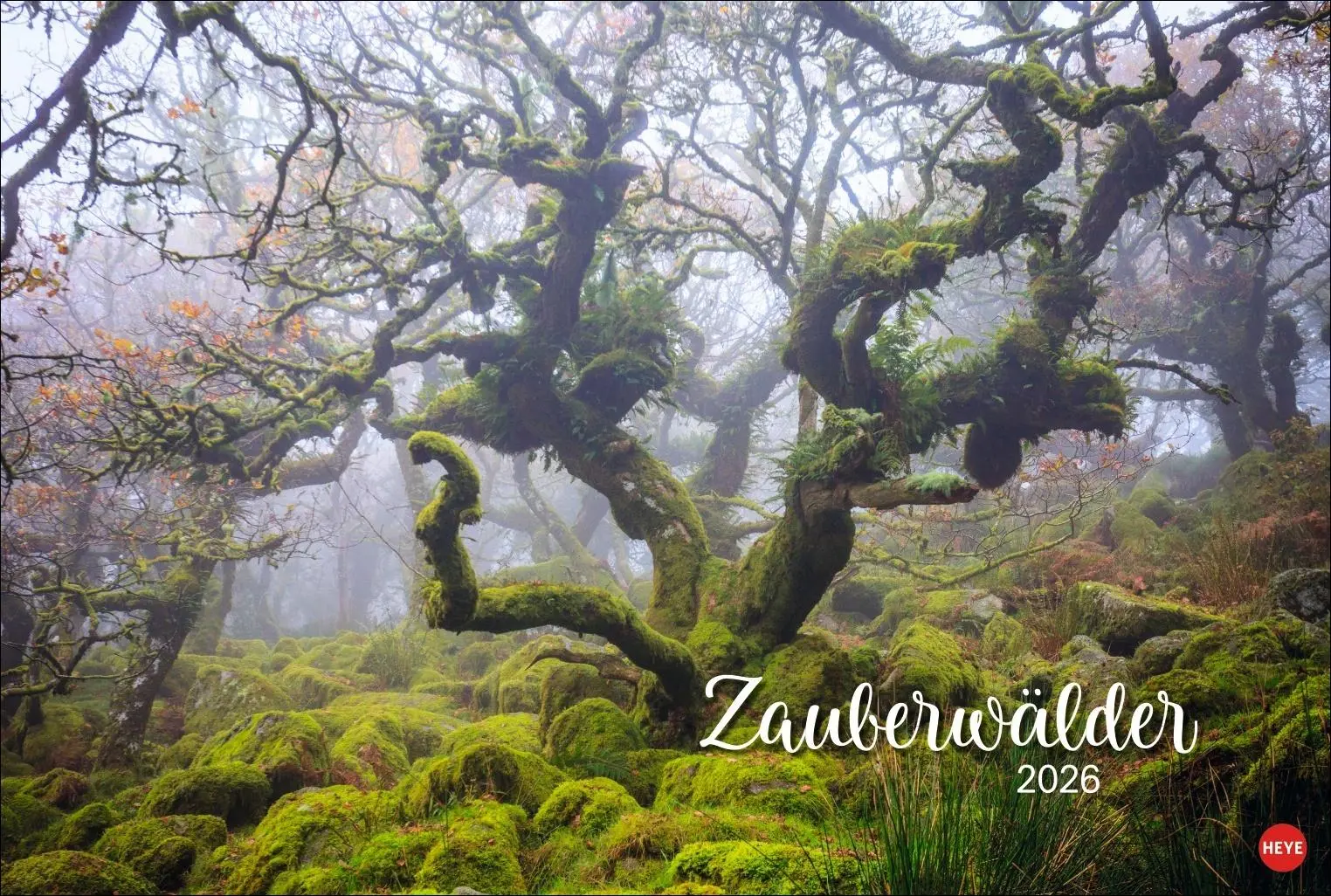Cover: 9783756410408 | Zauberwälder Edition Kalender 2026 | Heye | Kalender | Spiralbindung