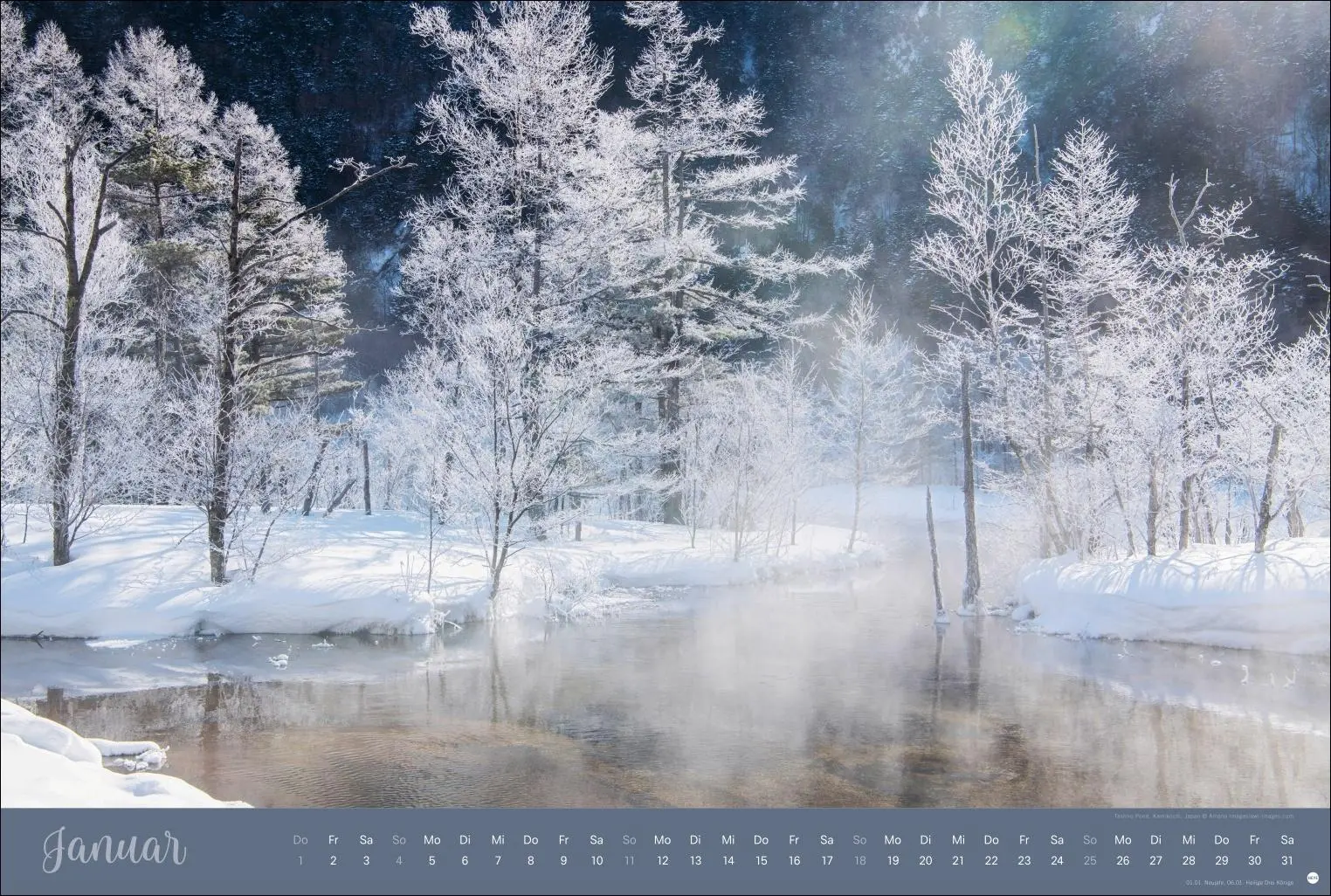 Bild: 9783756410408 | Zauberwälder Edition Kalender 2026 | Heye | Kalender | Spiralbindung