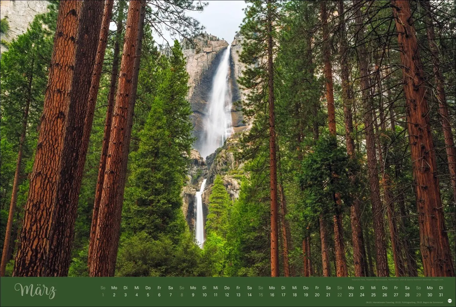 Bild: 9783756410408 | Zauberwälder Edition Kalender 2026 | Heye | Kalender | Spiralbindung