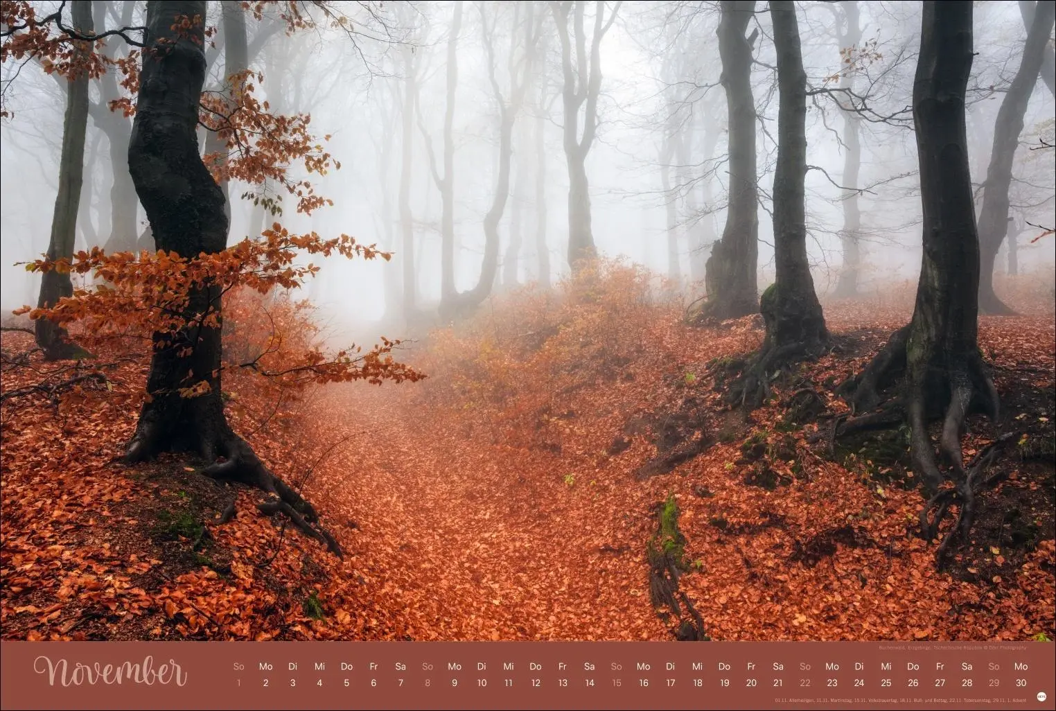 Bild: 9783756410408 | Zauberwälder Edition Kalender 2026 | Heye | Kalender | Spiralbindung