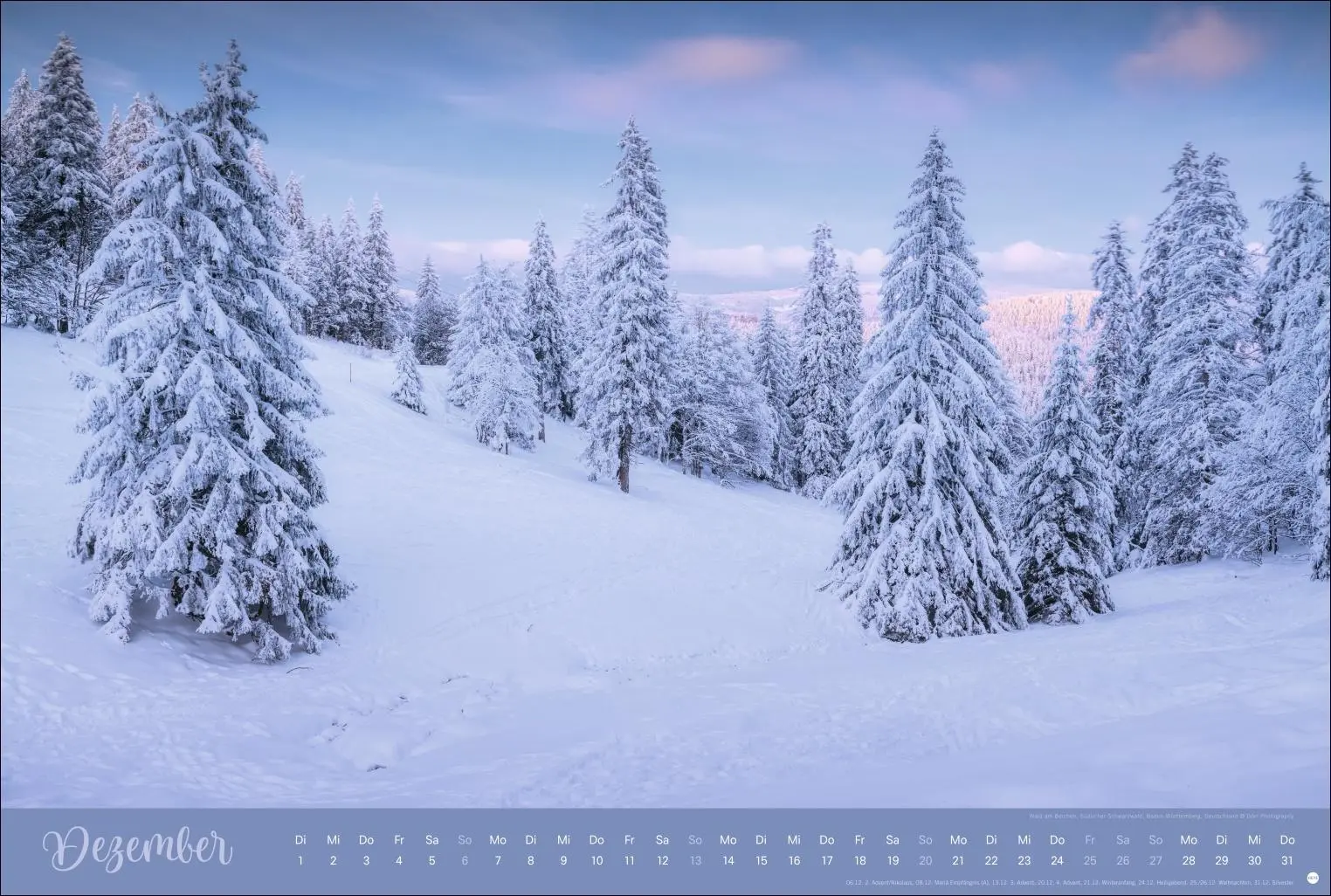 Bild: 9783756410408 | Zauberwälder Edition Kalender 2026 | Heye | Kalender | Spiralbindung