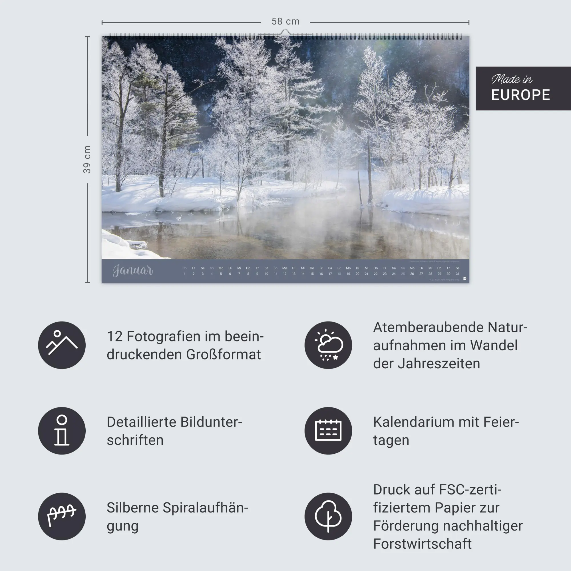 Bild: 9783756410408 | Zauberwälder Edition Kalender 2026 | Heye | Kalender | Spiralbindung