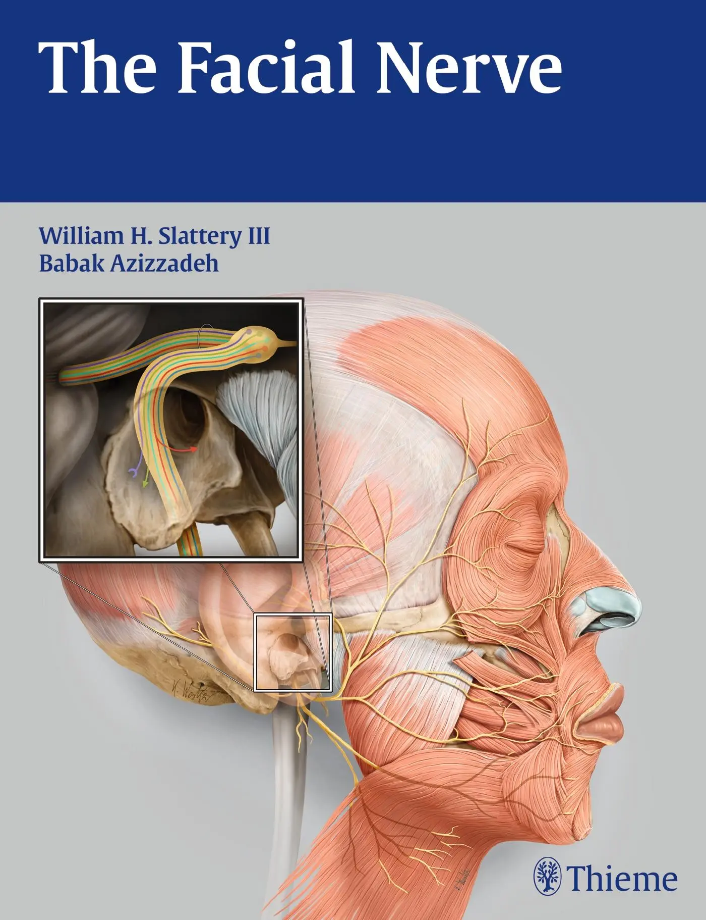 Cover: 9781604060508 | The Facial Nerve | William H Slattery (u. a.) | Buch | 236 S. | 2014