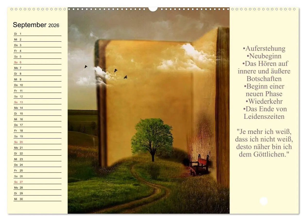 Bild: 9783457970508 | Tarot. Spirituell durch das Jahr (Wandkalender 2026 DIN A2 quer),...