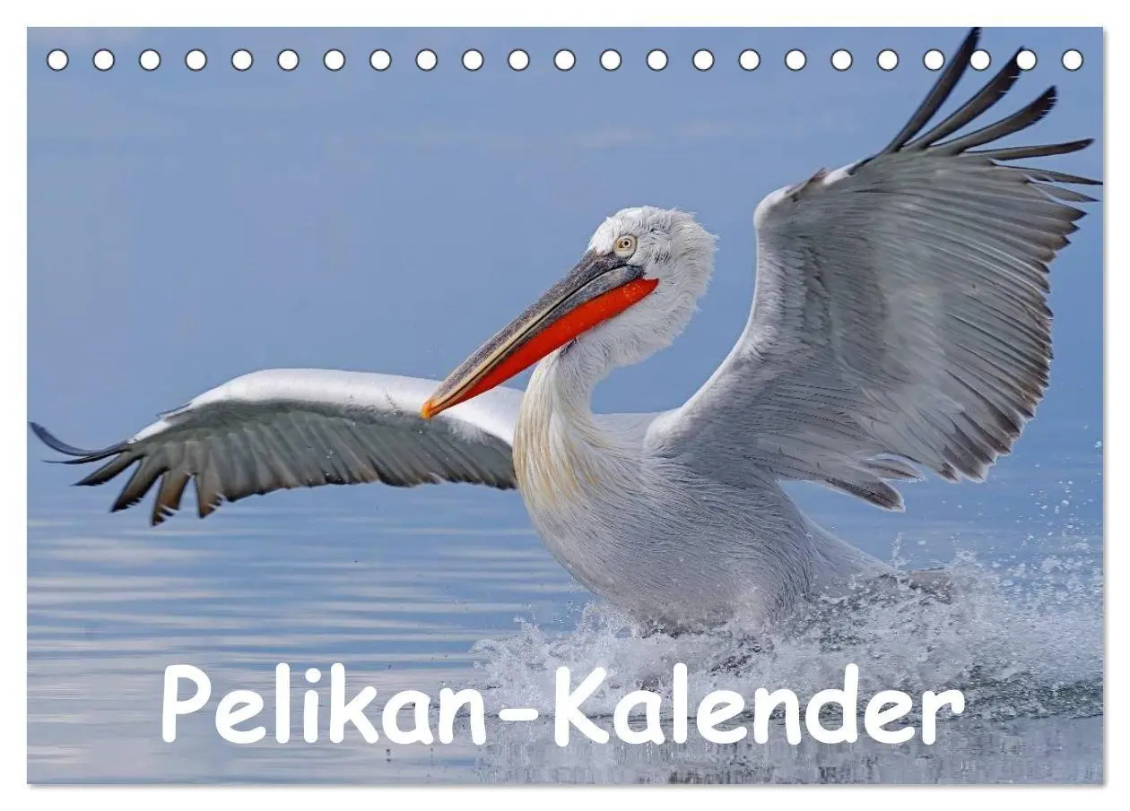Cover: 9783594110508 | Pelikan-Kalender (Tischkalender 2027 DIN A5 quer), CALVENDO...