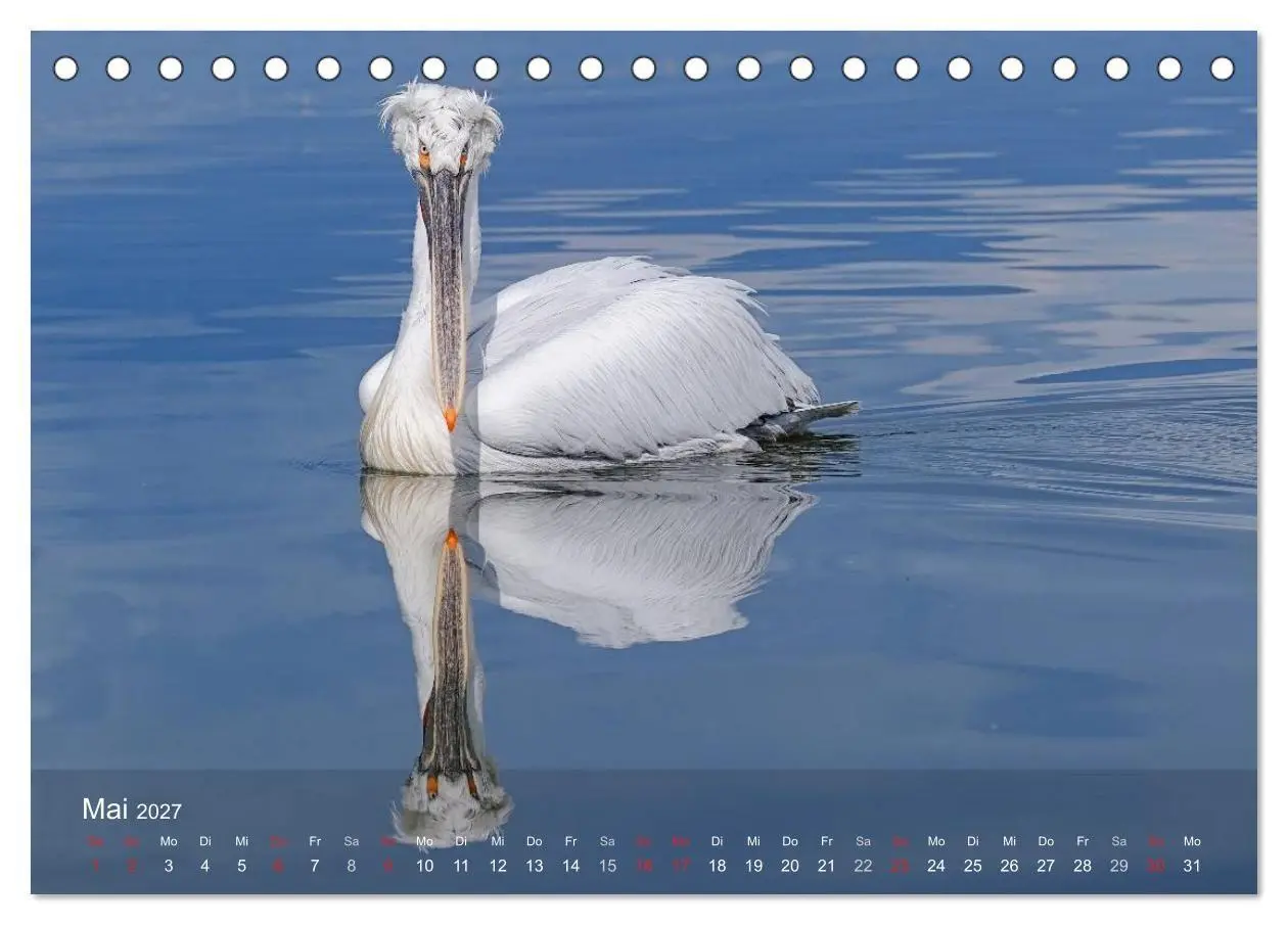Bild: 9783594110508 | Pelikan-Kalender (Tischkalender 2027 DIN A5 quer), CALVENDO...