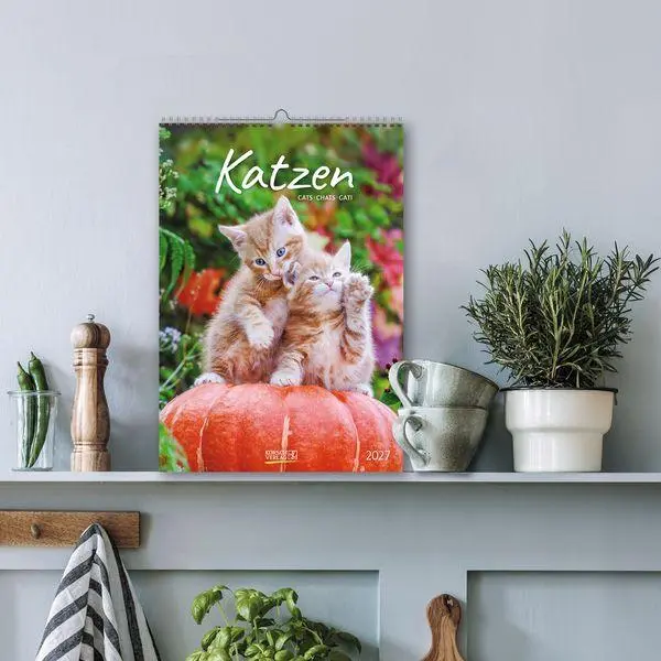 Bild: 9783819300608 | Katzen 2027 | Verlag Korsch | Kalender | Spiralbindung | 13 S. | 2027