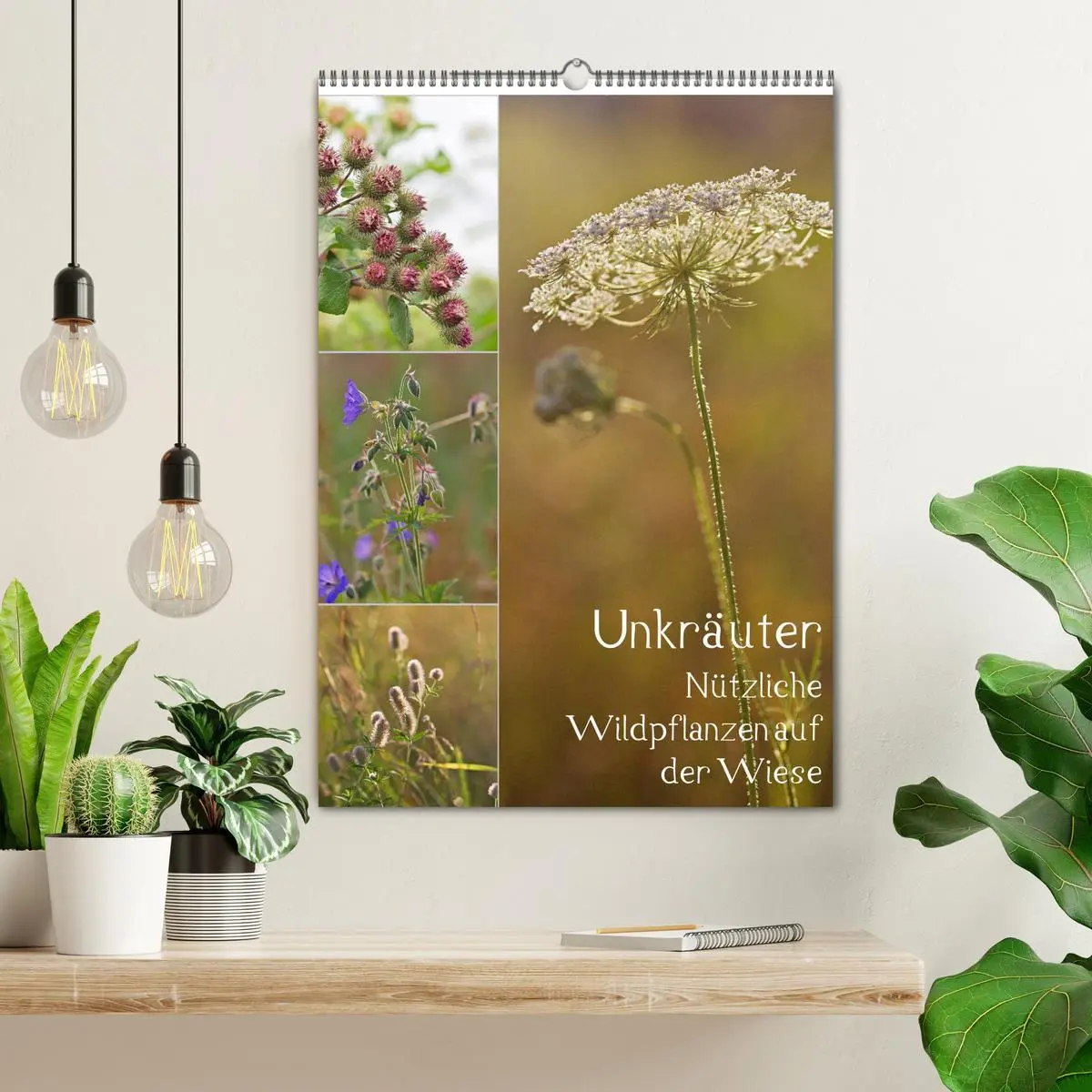 Bild: 9783516420708 | Unkräuter - Nützliche Wildpflanzen auf der Wiese (Wandkalender 2026...