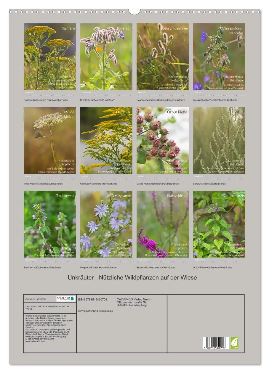 Bild: 9783516420708 | Unkräuter - Nützliche Wildpflanzen auf der Wiese (Wandkalender 2026...