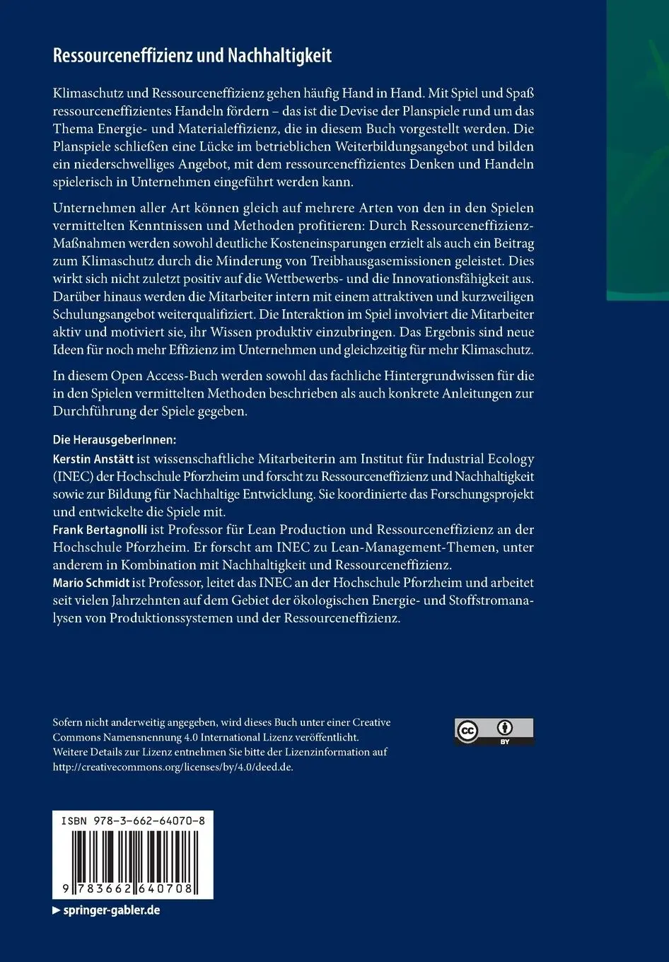 Rückseite: 9783662640708 | Ressourceneffizienz und Nachhaltigkeit | Kerstin Anstätt (u. a.)