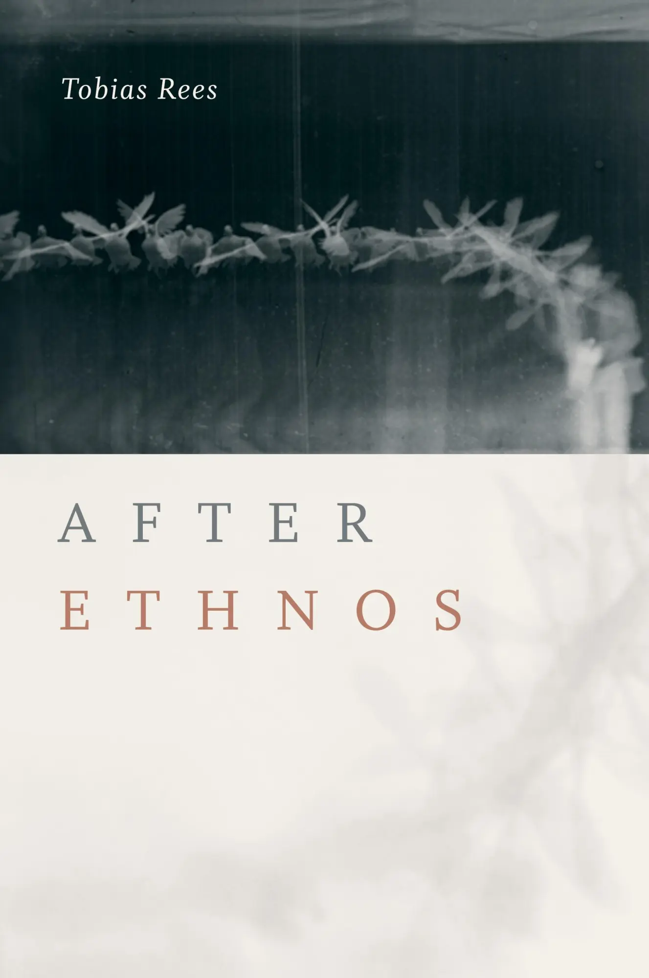 Cover: 9781478000808 | After Ethnos | Tobias Rees | Taschenbuch | Einband - flex.(Paperback)