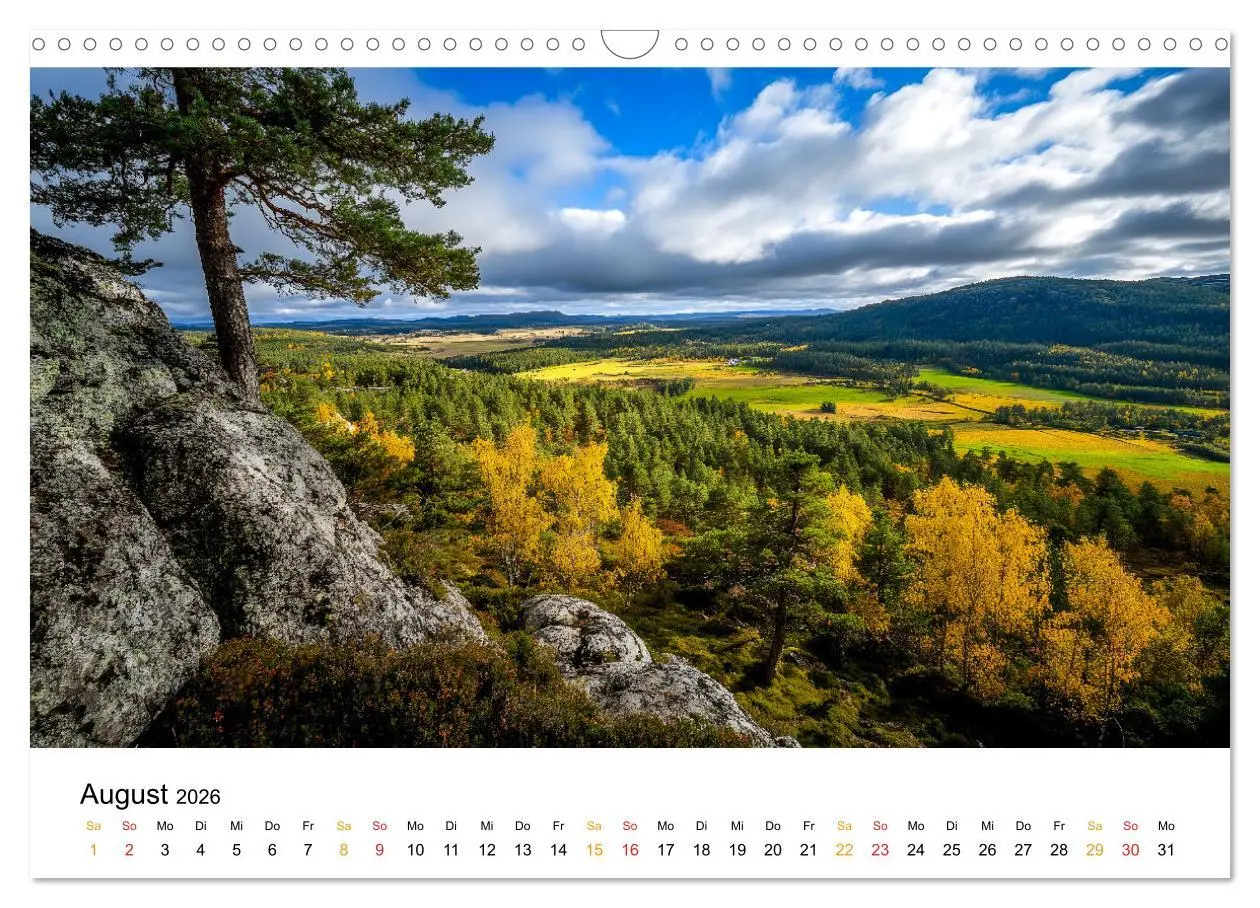 Bild: 9783457320808 | Mystik der Wälder (Wandkalender 2026 DIN A3 quer), CALVENDO...