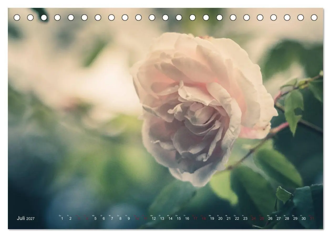 Bild: 9783569810808 | Die Welt der Alten Rosen (Tischkalender 2027 DIN A5 quer), CALVENDO...