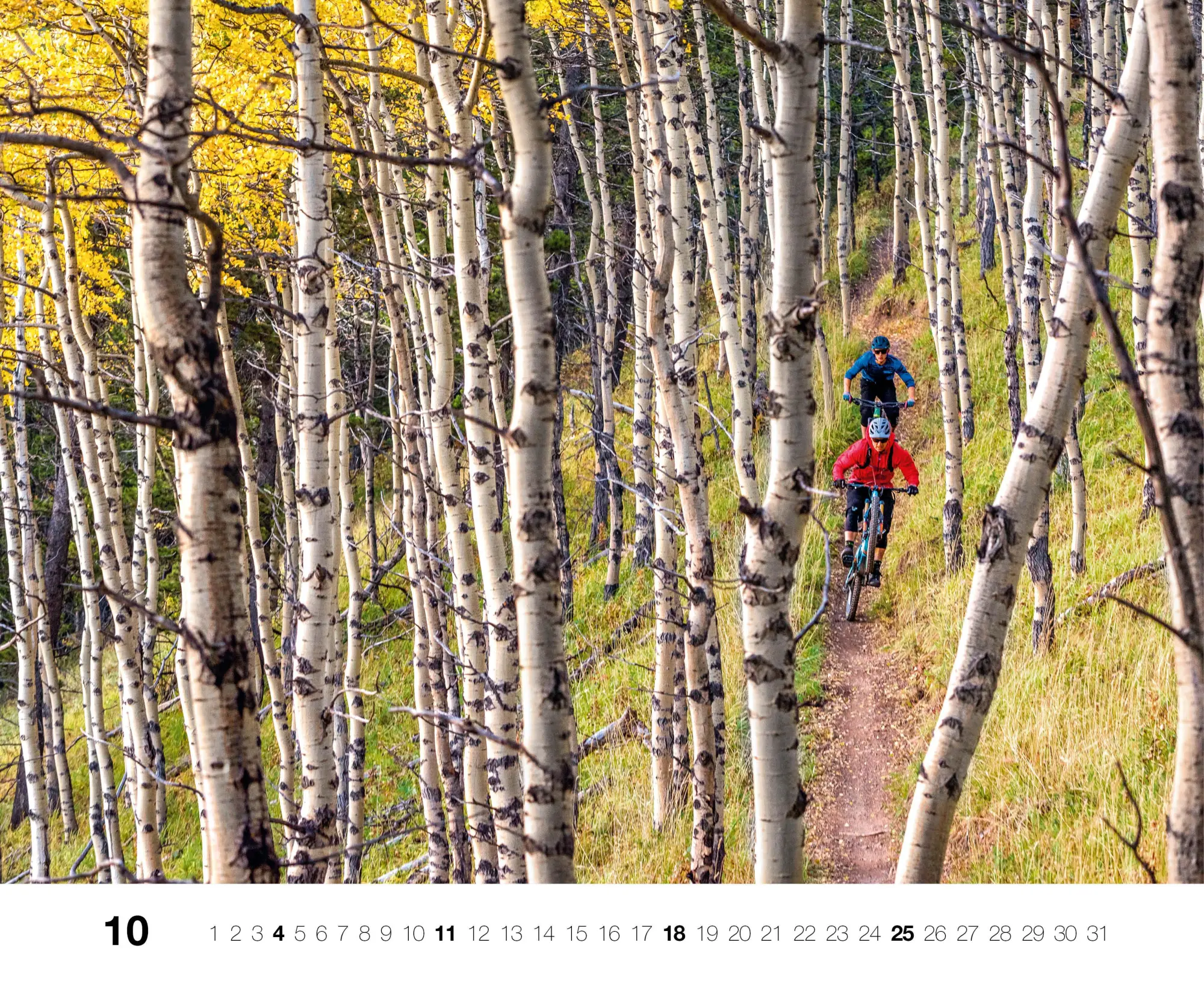 Bild: 9783667130808 | Bike 2026 | Kalender | 14 S. | Deutsch | 2026 | EAN 9783667130808