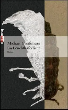 Cover: 9783865200808 | Im Leuchtkäferlicht | Michael Groißmeier | Taschenbuch | 144 S. | 2004