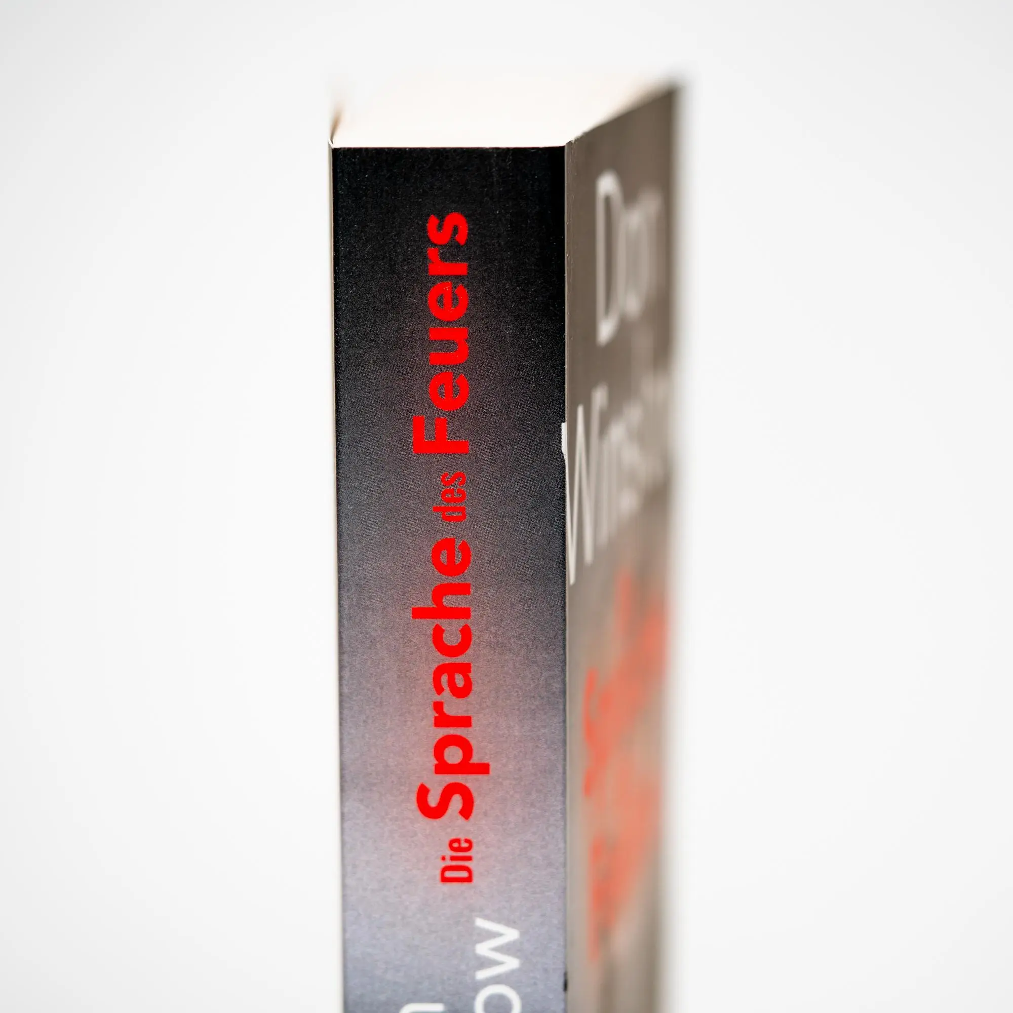 Bild: 9783365000908 | Die Sprache des Feuers | Thriller | Don Winslow | Taschenbuch | 432 S.