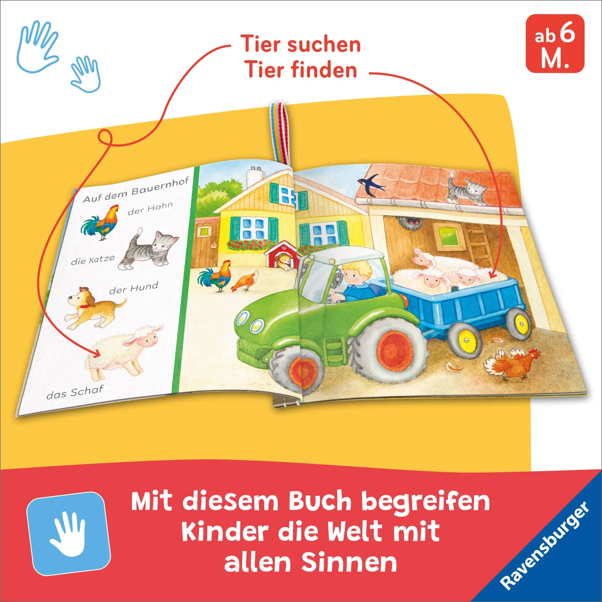 Bild: 9783473421008 | Mein Knuddel-Knautsch-Buch - Sachen suchen. Mein Bauernhof | Gruber