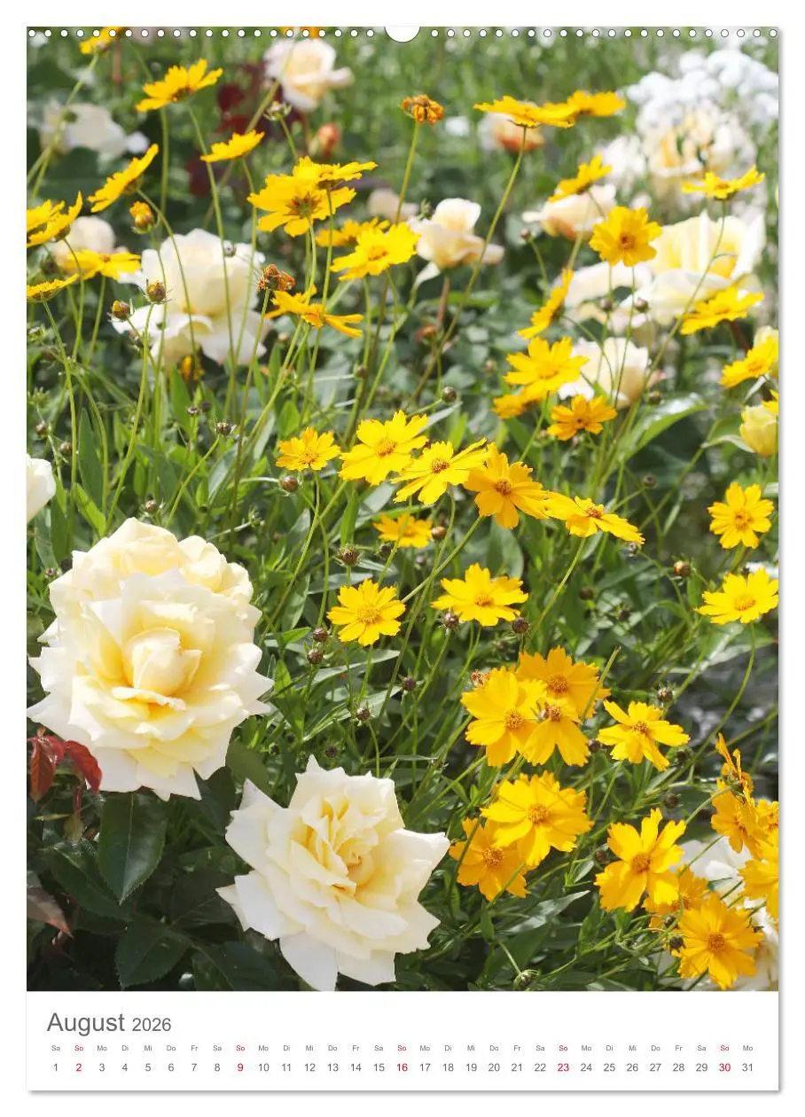 Bild: 9783516391008 | Glücklich mit Rosen (Wandkalender 2026 DIN A2 hoch), CALVENDO...
