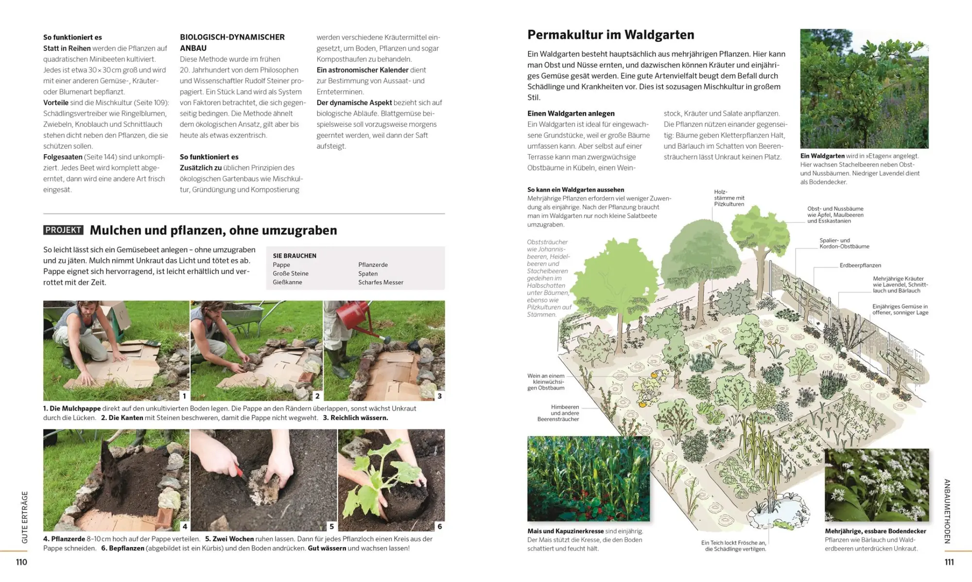Bild: 9783831041008 | Das große Buch der Selbstversorgung | Dick Strawbridge (u. a.) | Buch