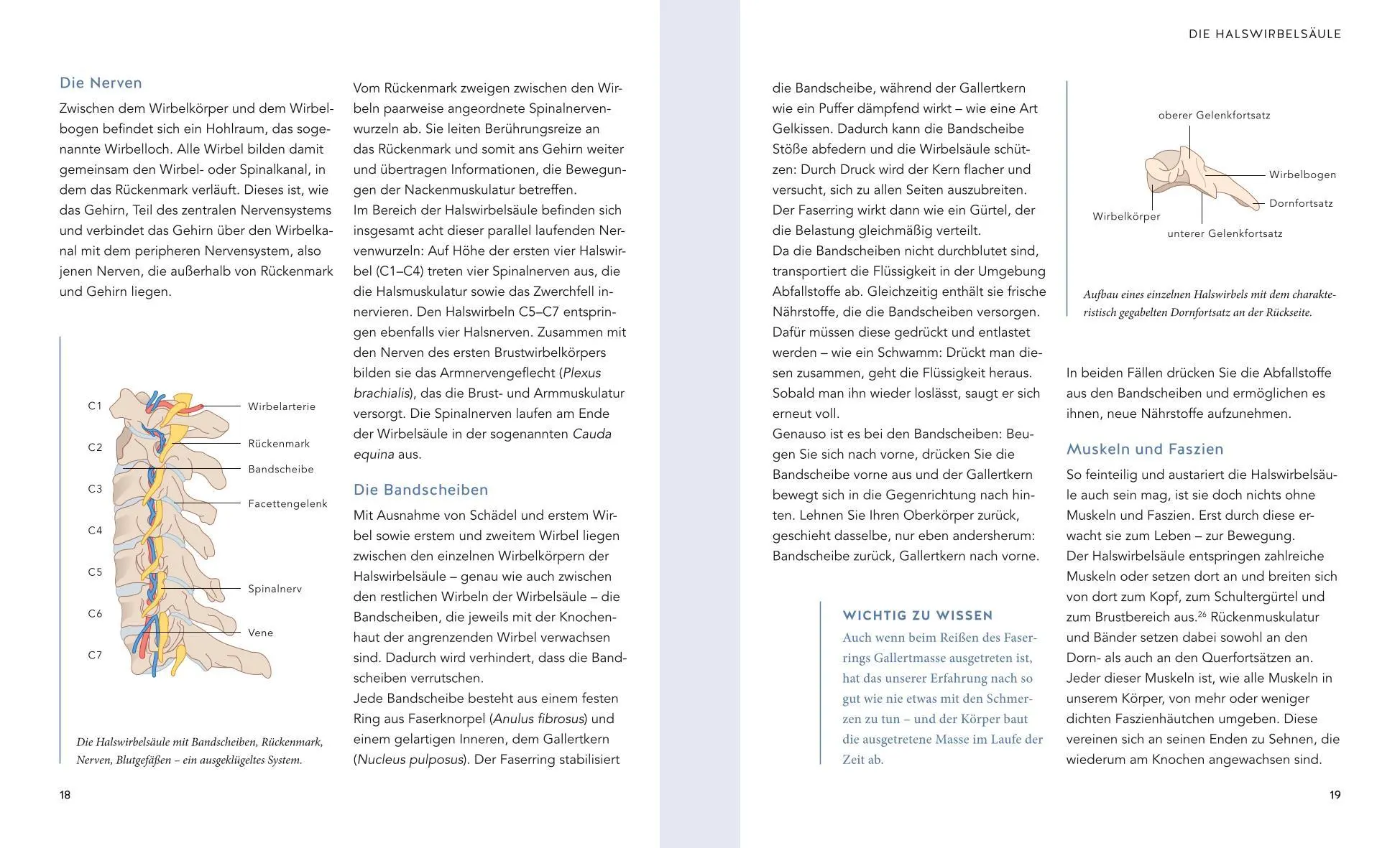 Bild: 9783833881008 | Nacken Schmerzen selbst behandeln | Roland Liebscher-Bracht | Buch