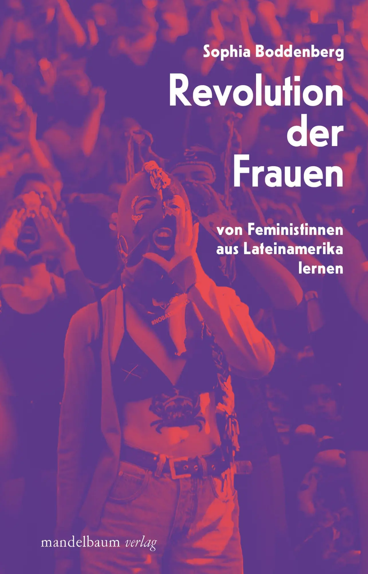 Cover: 9783991361008 | Revolution der Frauen | von Feministinnen aus Lateinamerika lernen