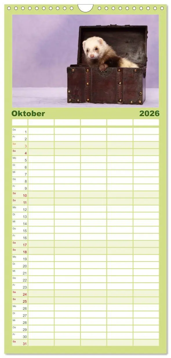 Bild: 9783516521108 | Familienplaner 2026 - Frettchen - Ferrets mit 5 Spalten...