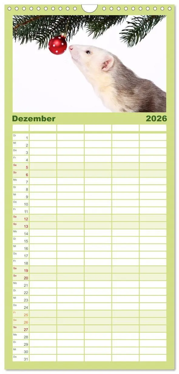 Bild: 9783516521108 | Familienplaner 2026 - Frettchen - Ferrets mit 5 Spalten...