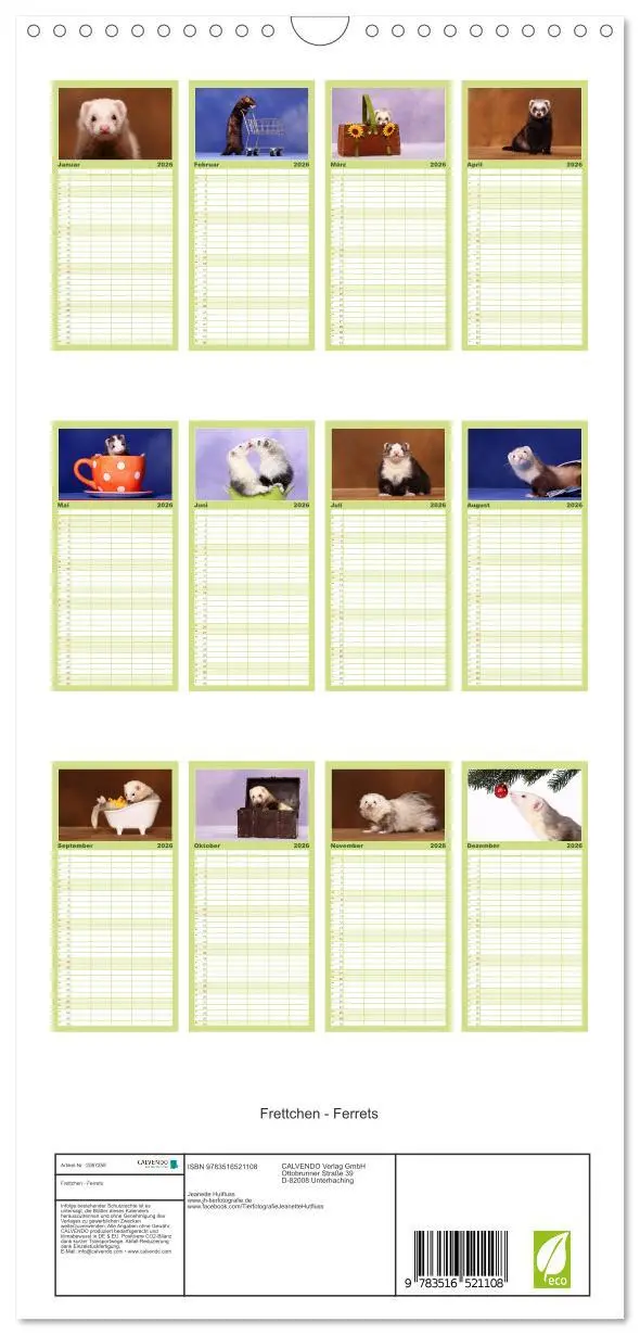 Bild: 9783516521108 | Familienplaner 2026 - Frettchen - Ferrets mit 5 Spalten...