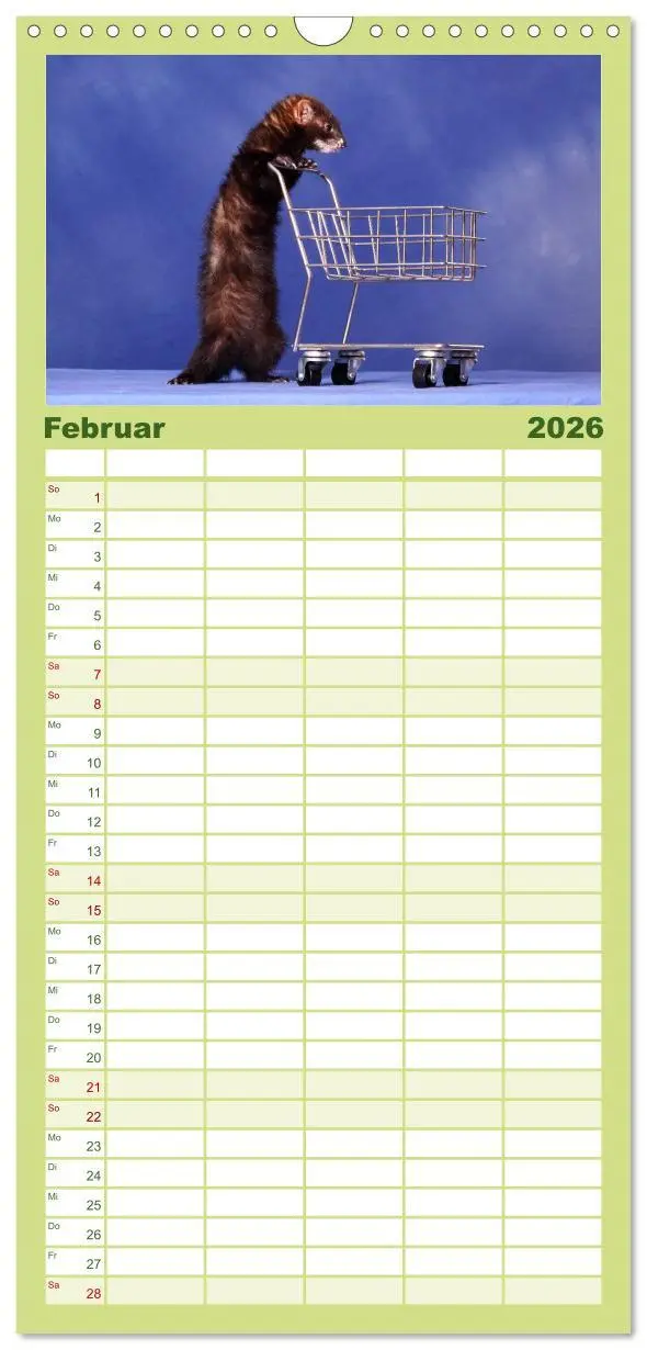 Bild: 9783516521108 | Familienplaner 2026 - Frettchen - Ferrets mit 5 Spalten...