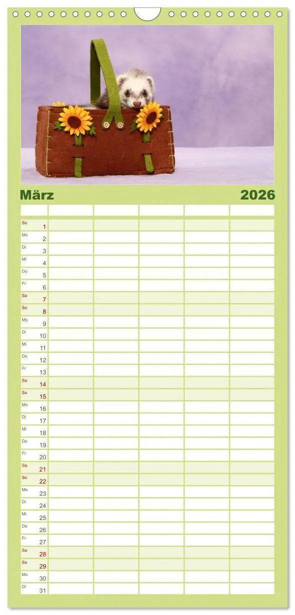 Bild: 9783516521108 | Familienplaner 2026 - Frettchen - Ferrets mit 5 Spalten...