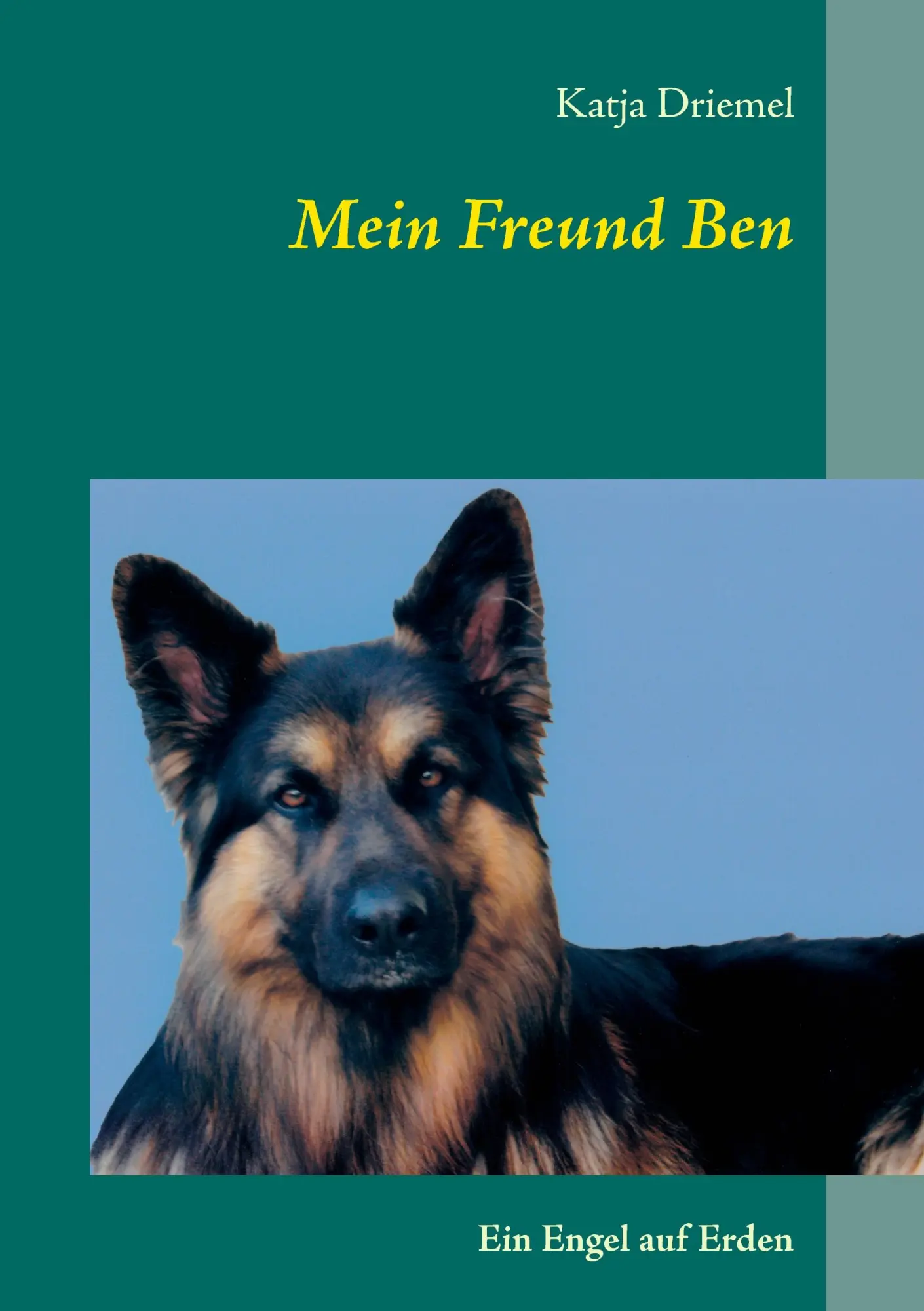 Cover: 9783735791108 | Mein Freund Ben | Ein Engel auf Erden | Katja Driemel | Taschenbuch