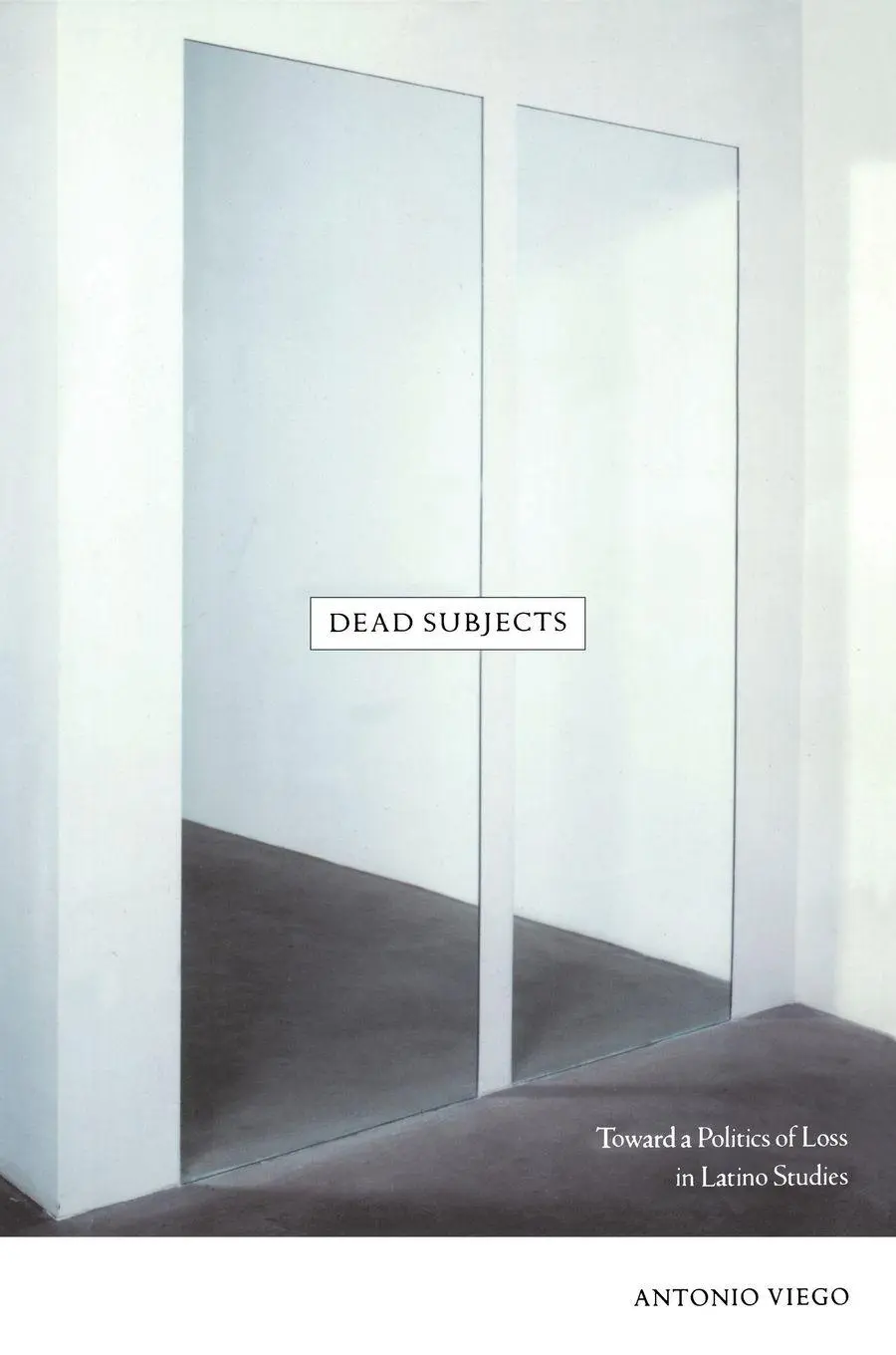 Cover: 9780822341208 | Dead Subjects | Toward a Politics of Loss in Latino Studies | Viego