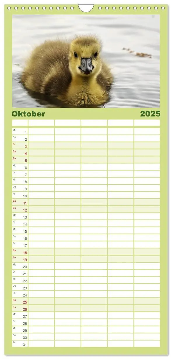 Bild: 9783457111208 | Familienplaner 2025 - Kleine Schelme - Tierbabys mit 5 Spalten...