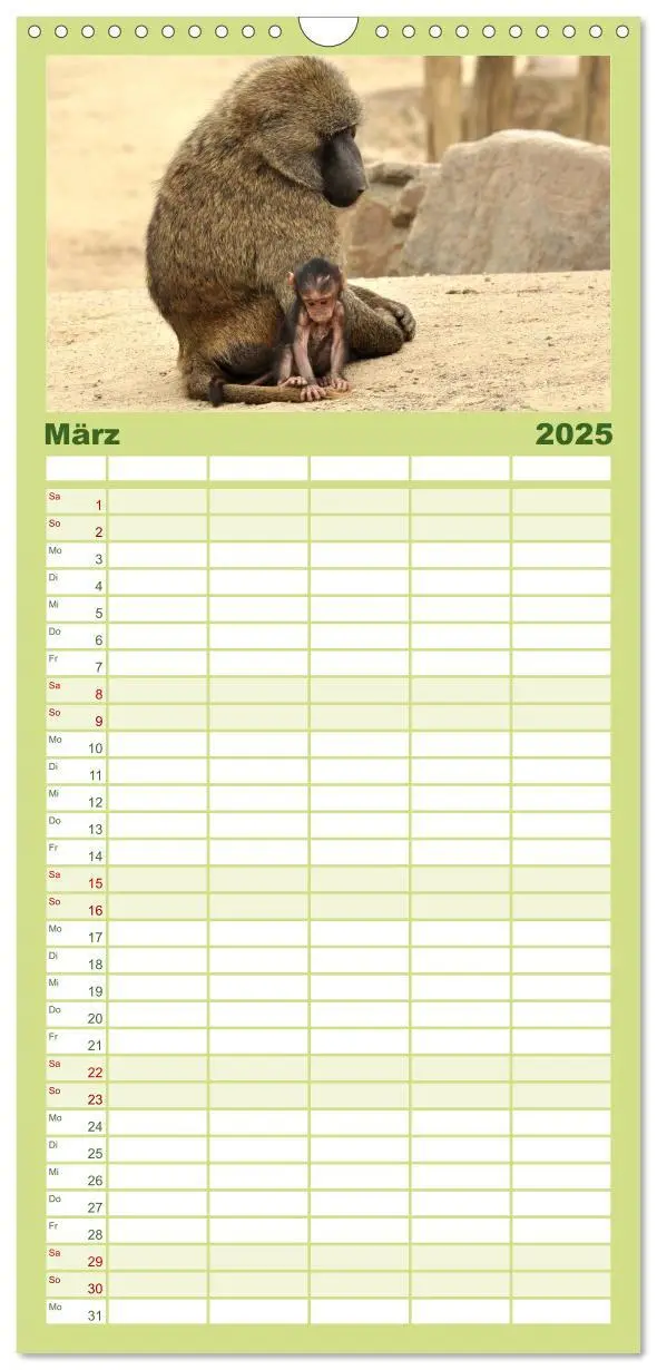 Bild: 9783457111208 | Familienplaner 2025 - Kleine Schelme - Tierbabys mit 5 Spalten...