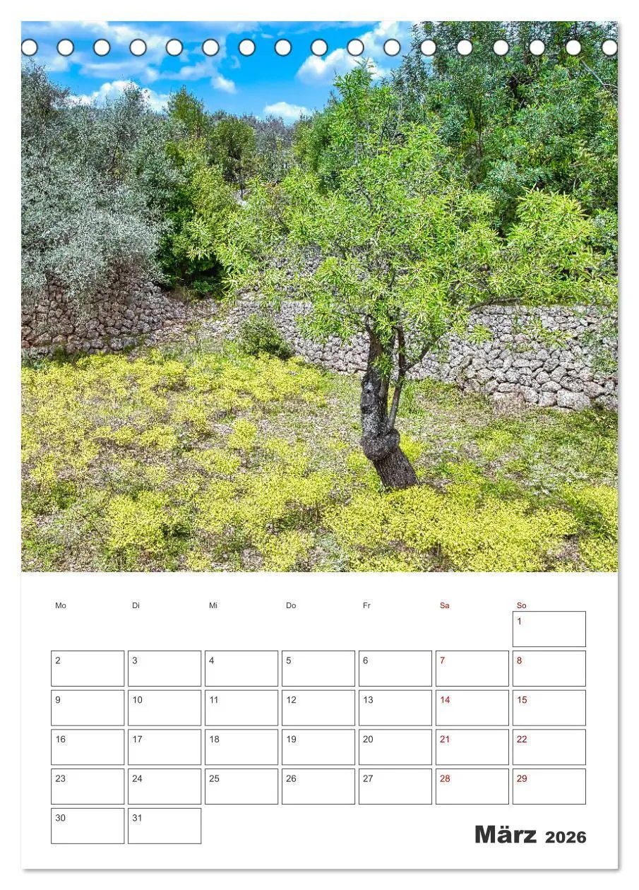 Bild: 9783516291308 | Mallorca - Traumhafte Insel auf der Sonnenseite (Tischkalender 2026...