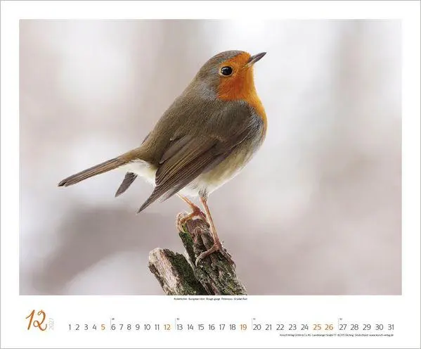 Bild: 9783819301308 | WaldLife 2027 | Verlag Korsch | Kalender | 14 S. | Deutsch | 2027