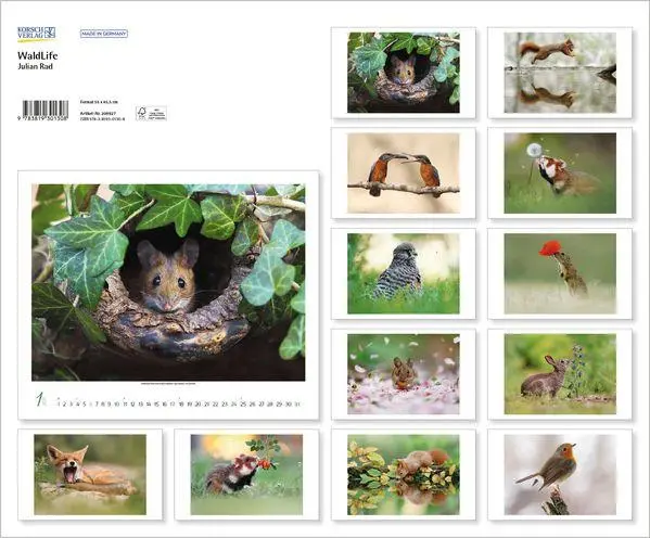 Bild: 9783819301308 | WaldLife 2027 | Verlag Korsch | Kalender | 14 S. | Deutsch | 2027