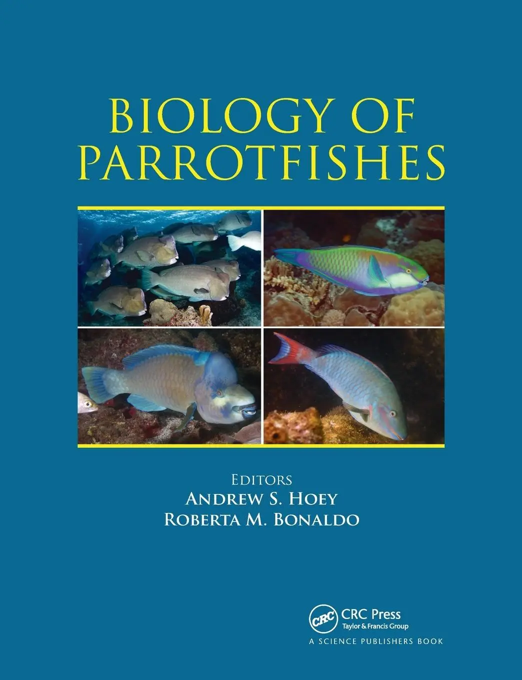 Cover: 9780367781408 | Biology of Parrotfishes | Andrew S. Hoey (u. a.) | Taschenbuch | 2021