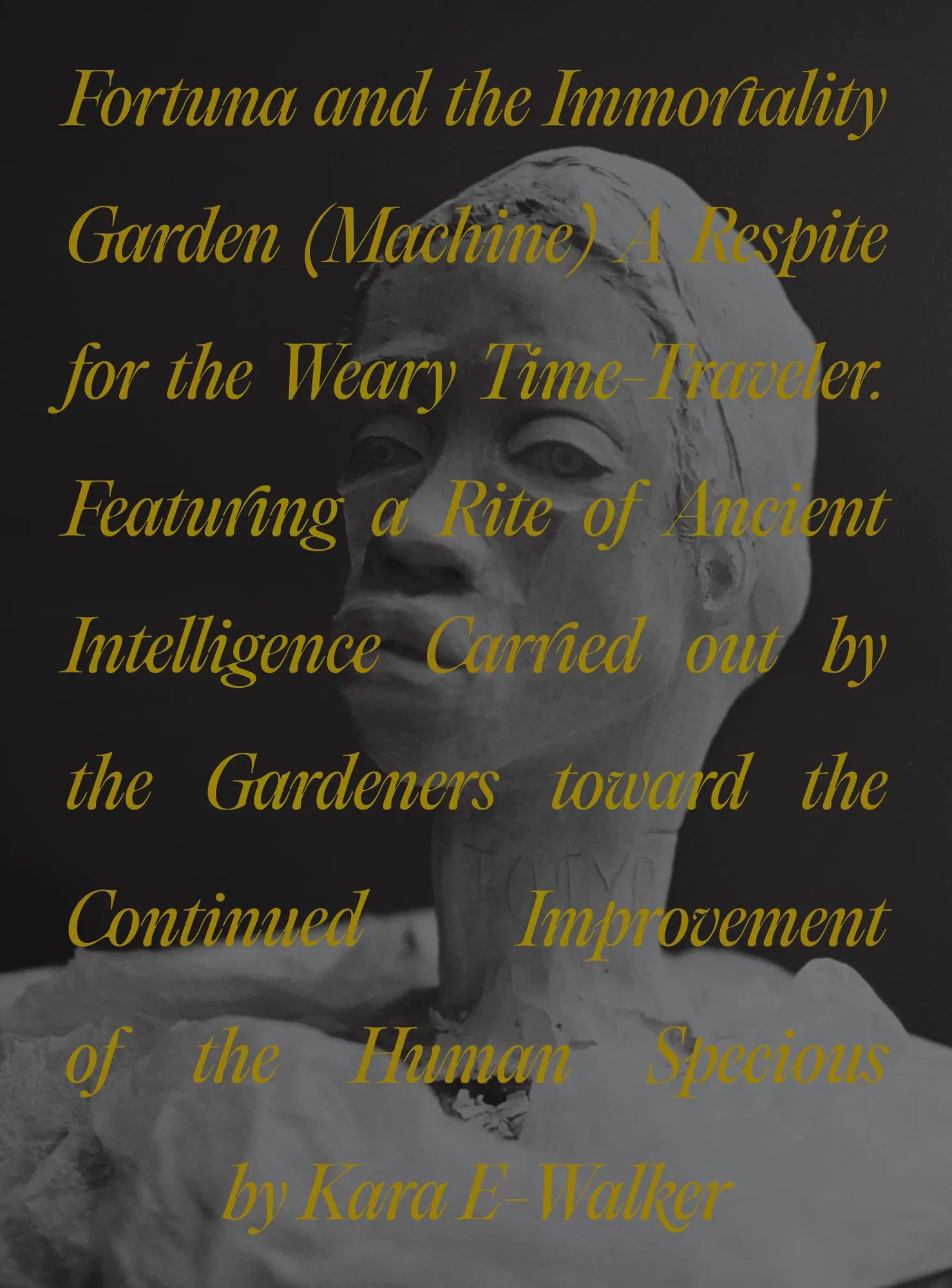 Cover: 9780691271408 | Fortuna and the Immortality Garden (Machine) | Kara Walker | Buch