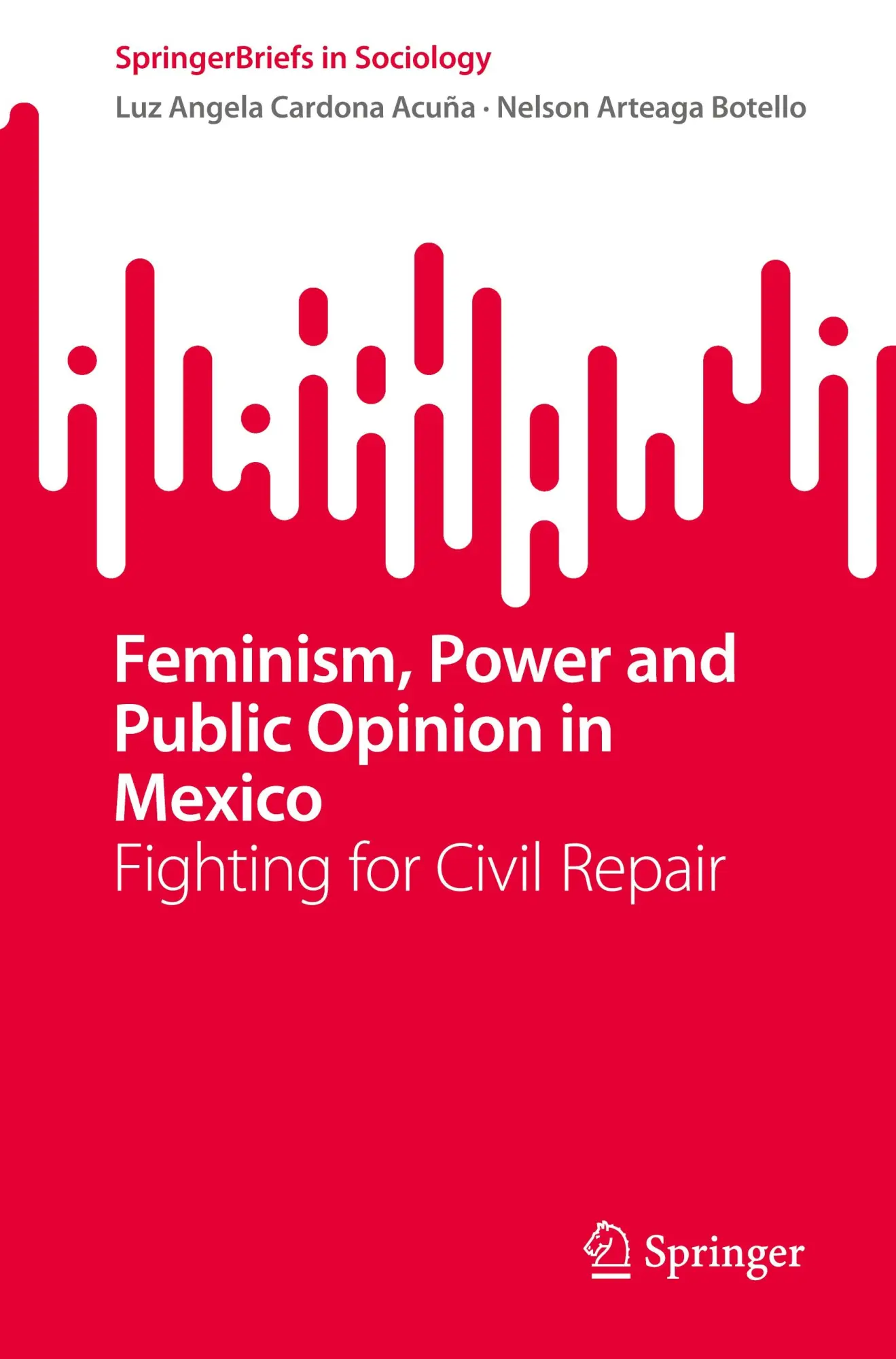 Feminism, Power and Public Opinion in Mexico: Fighting for Civil Repair (SpringerBriefs in Sociology)