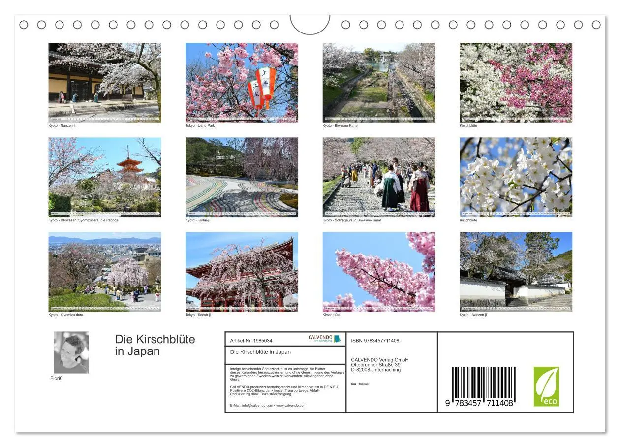 Bild: 9783457711408 | Die Kirschblüte in Japan (Wandkalender 2026 DIN A4 quer), CALVENDO...