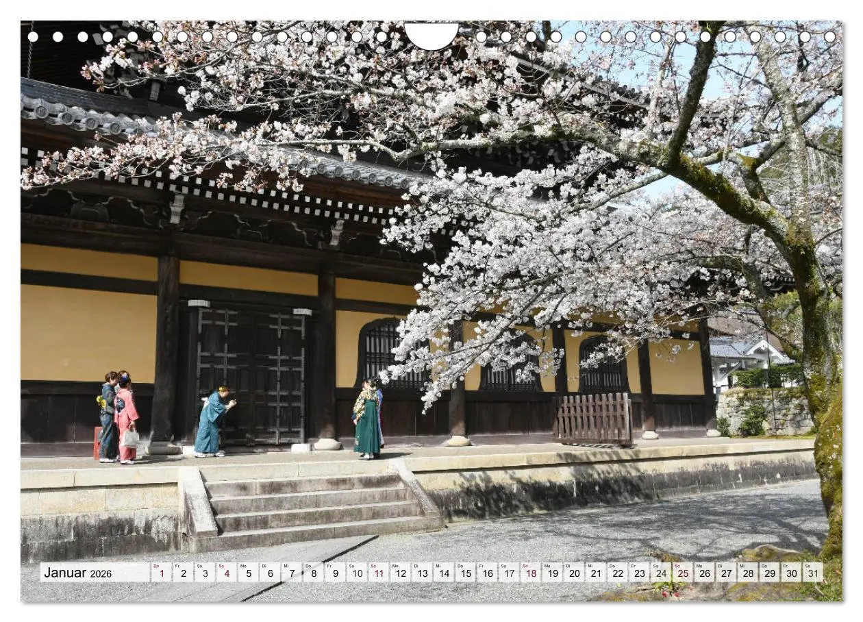 Bild: 9783457711408 | Die Kirschblüte in Japan (Wandkalender 2026 DIN A4 quer), CALVENDO...
