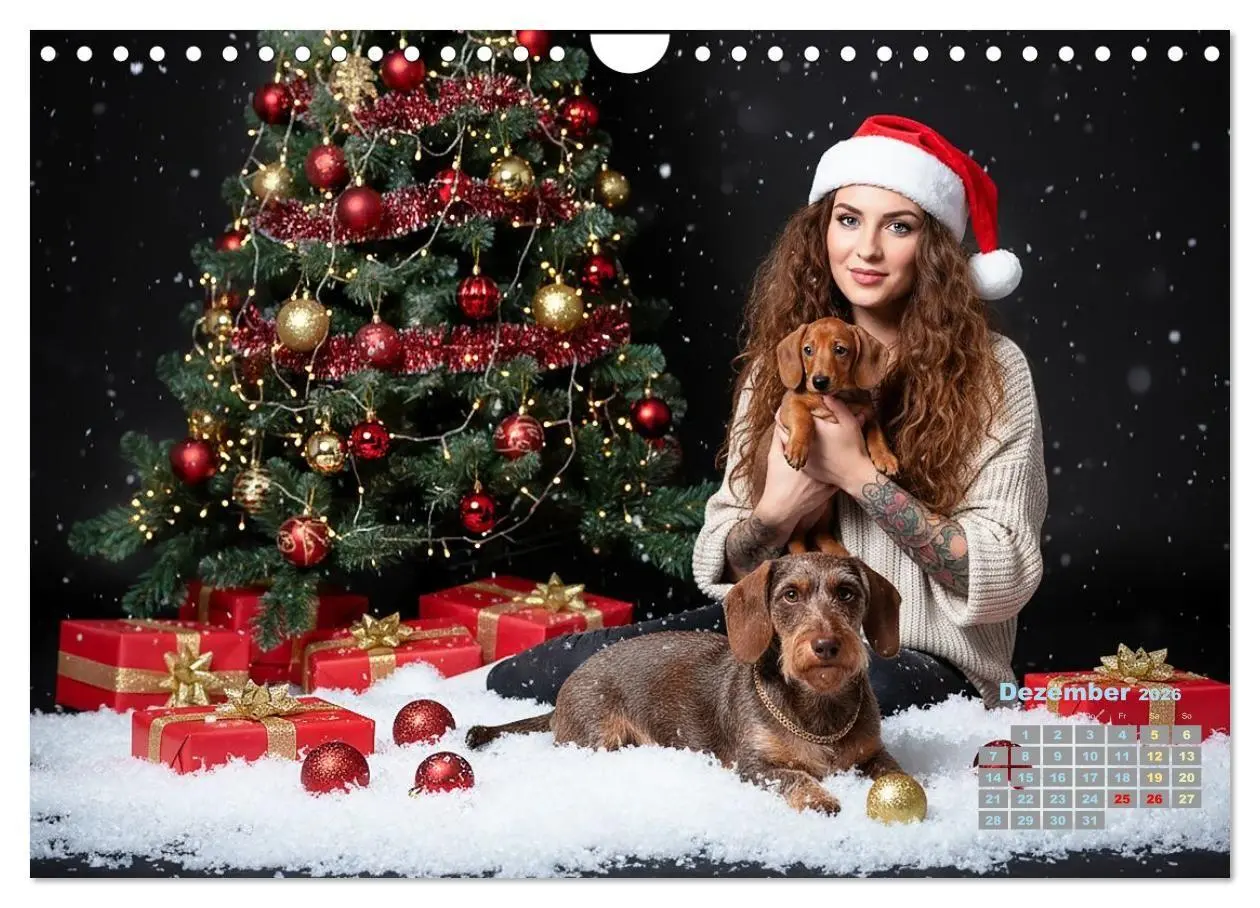 Bild: 9783516721508 | Starke Mädels - Rauhaardackel (Wandkalender 2026 DIN A4 quer),...
