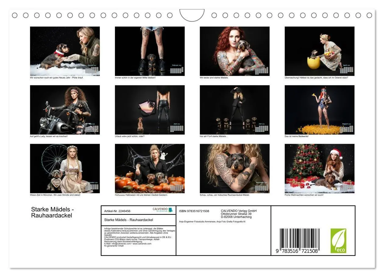 Bild: 9783516721508 | Starke Mädels - Rauhaardackel (Wandkalender 2026 DIN A4 quer),...