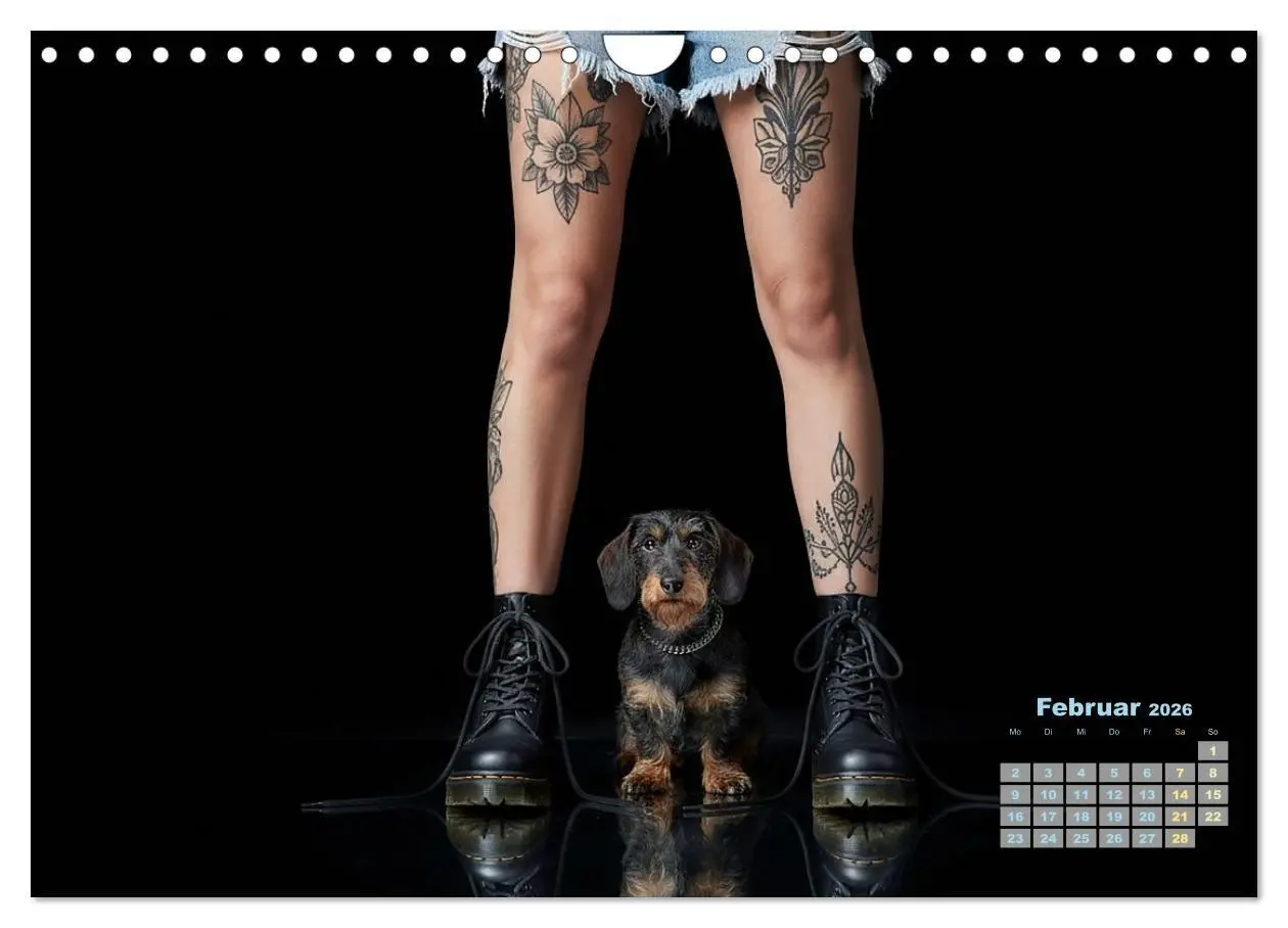 Bild: 9783516721508 | Starke Mädels - Rauhaardackel (Wandkalender 2026 DIN A4 quer),...