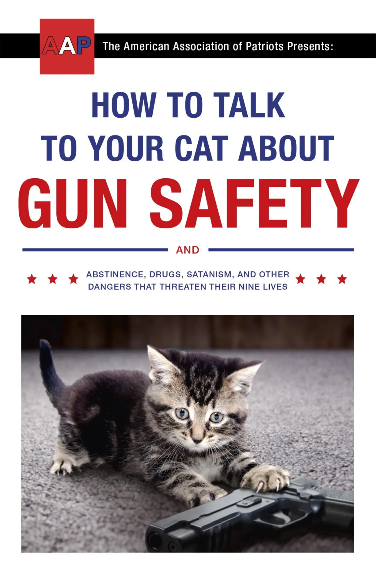 Cover: 9781473661608 | How to Talk to Your Cat About Gun Safety | Zachary Auburn | Buch Cover: 9781473661608 | How to Talk to Your Cat About Gun Safety | Zachary Auburn | Buch